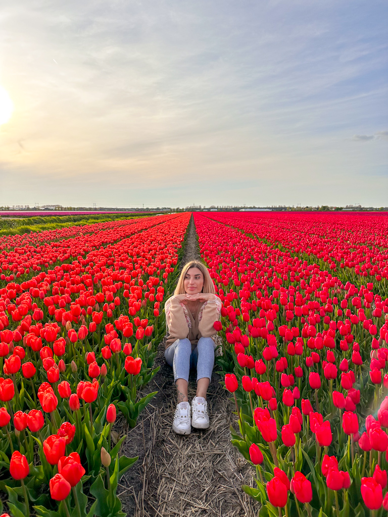 Tulipani in Olanda - ragazza in campo di tulipani colorati