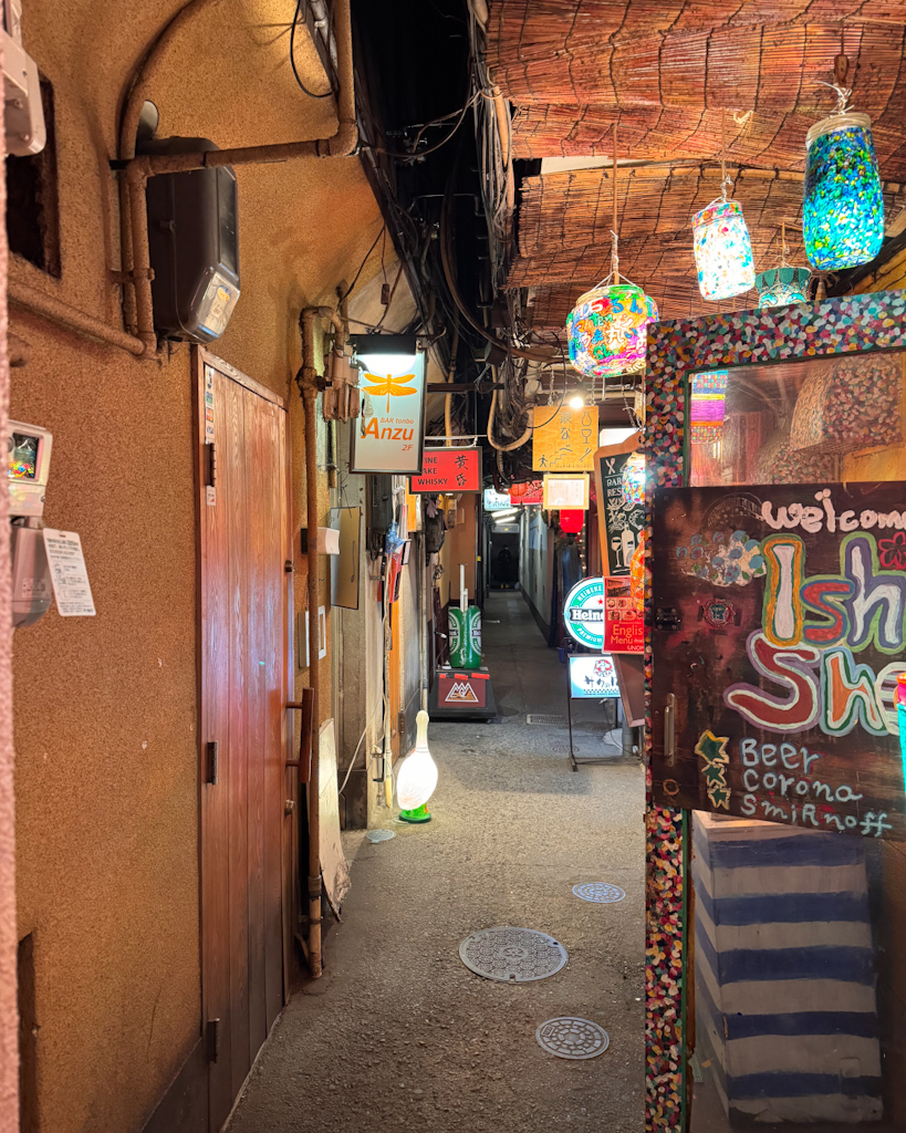 Ponthocho, via pena di locali e ristoranti a Kyoto