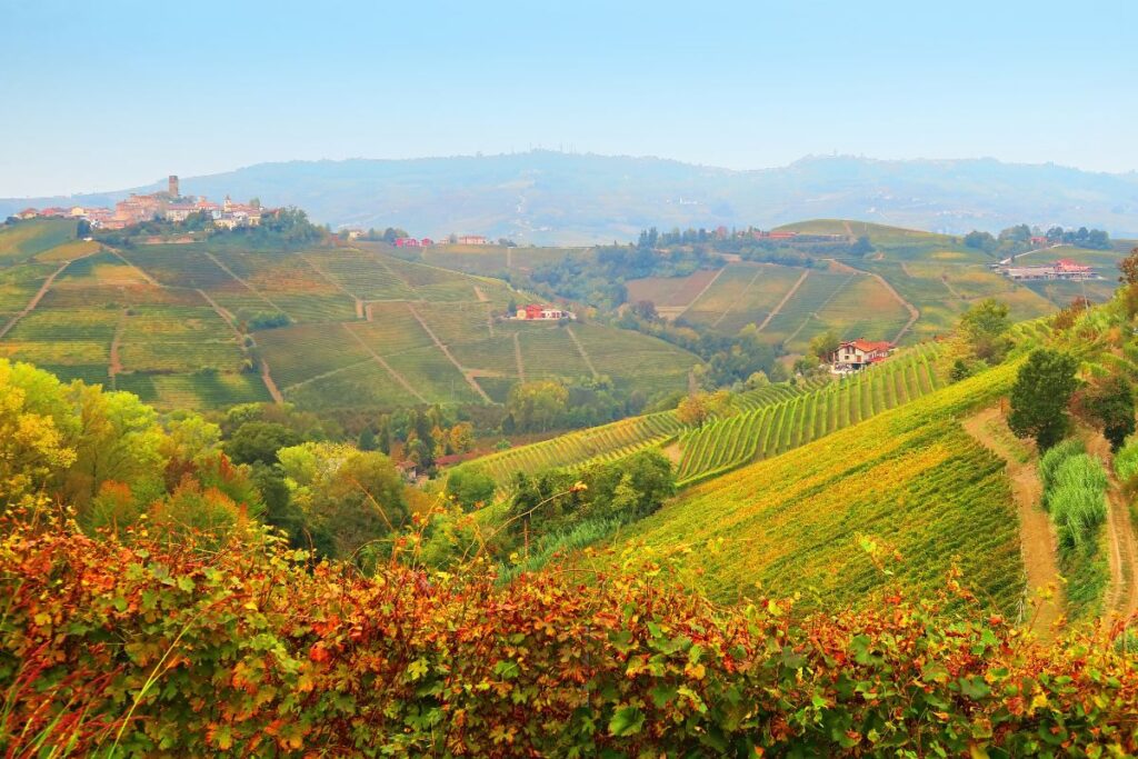 colline con vigneti nelle langhe in autunno